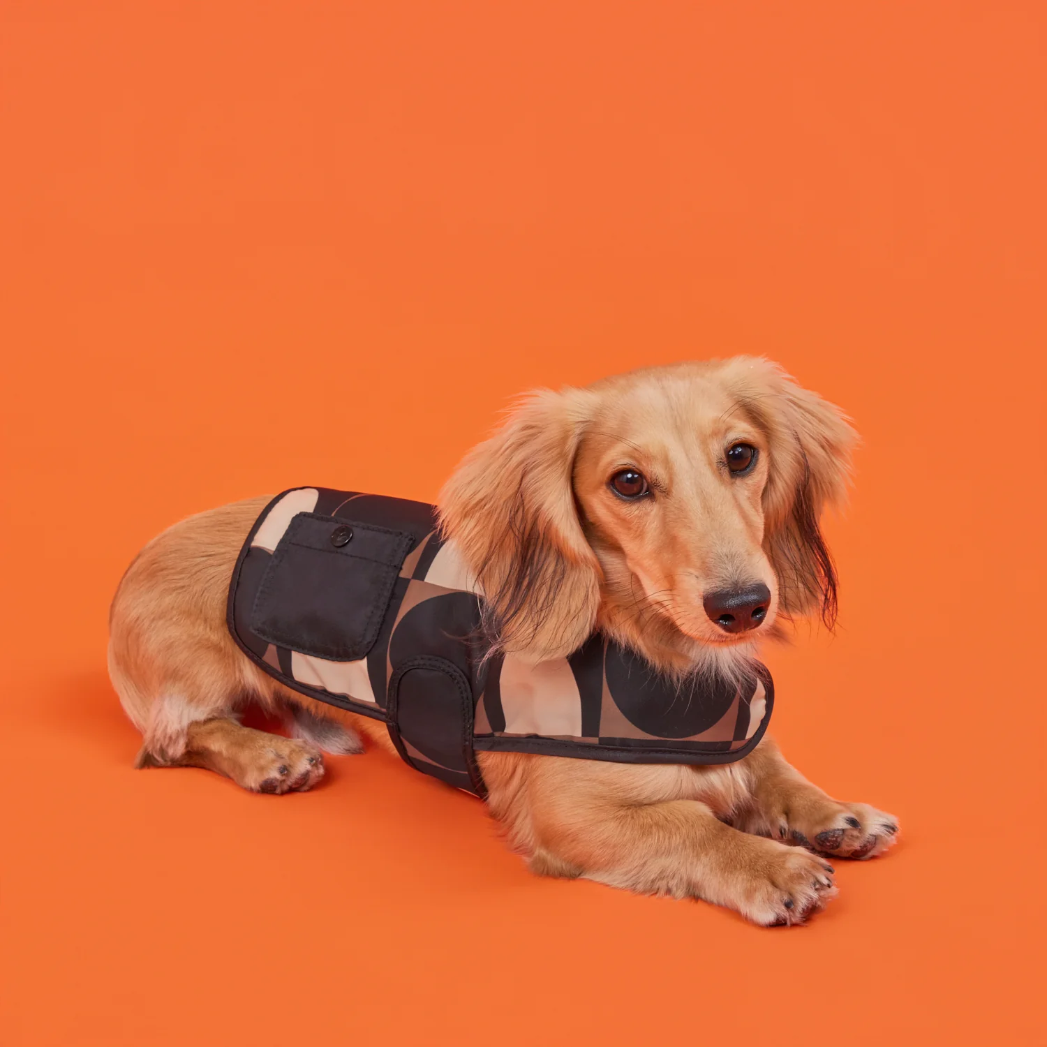 Dog Coat - Spot Square Mocha - Image 3